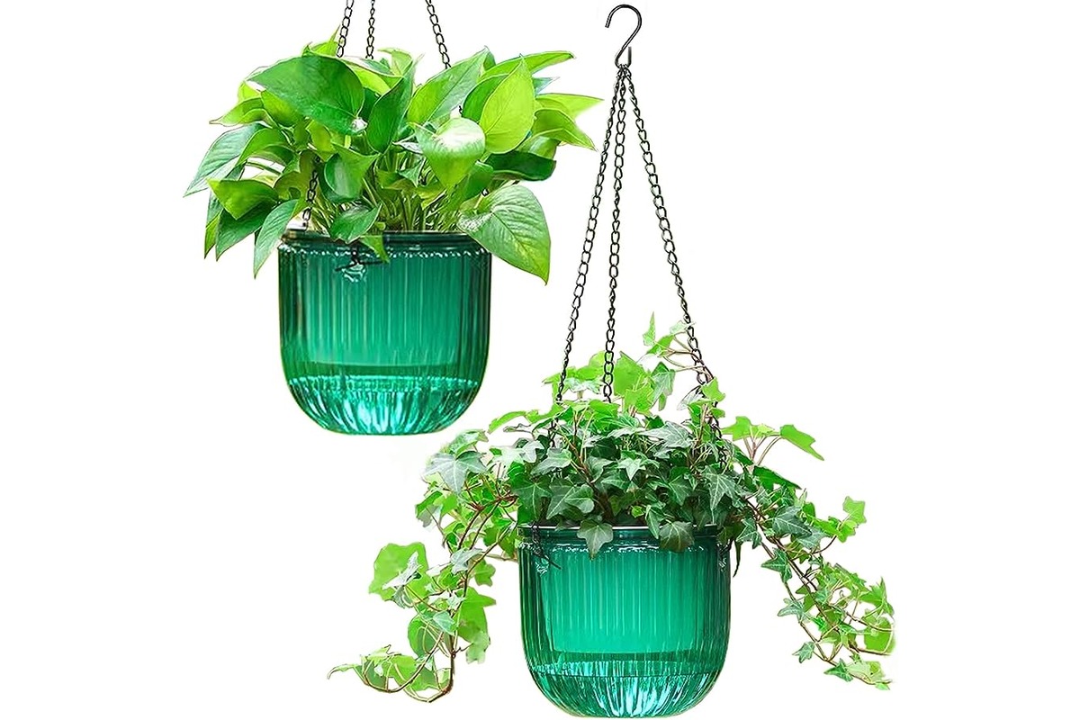11 Amazing Hanging Plant Pot for 2023