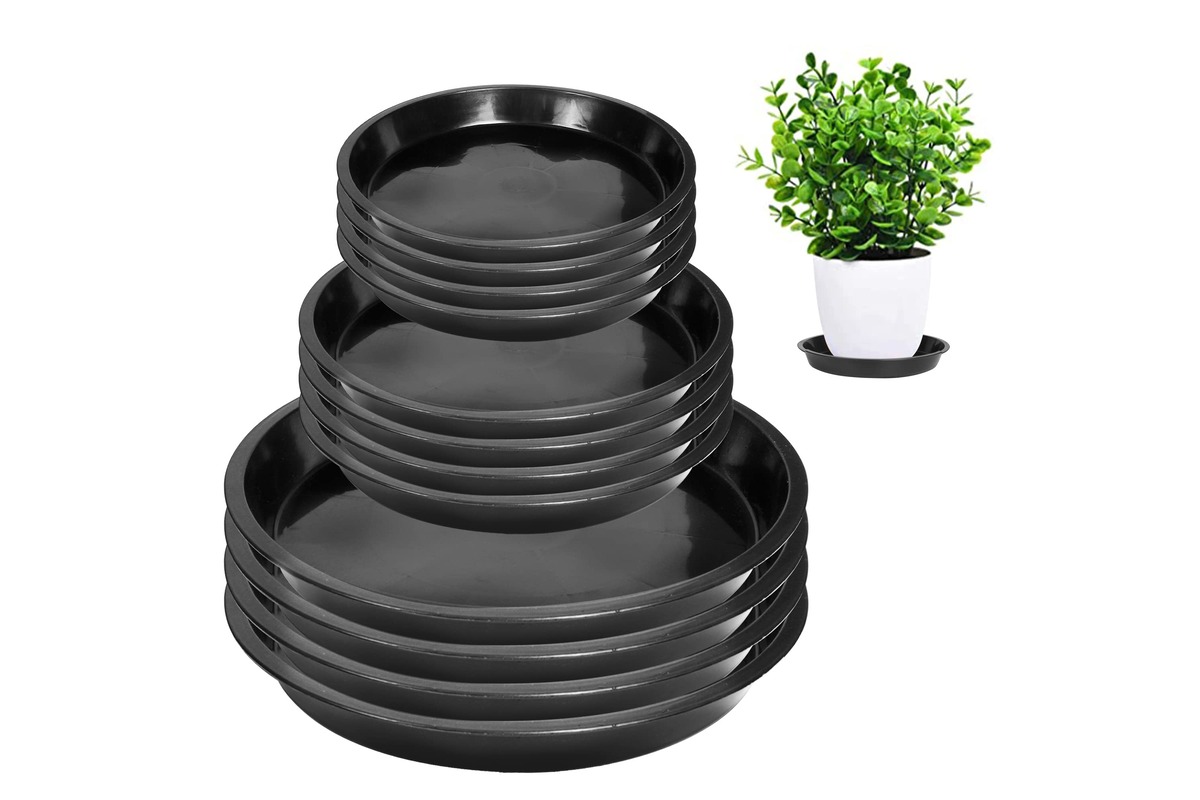 11 Amazing Plant Saucers for 2024