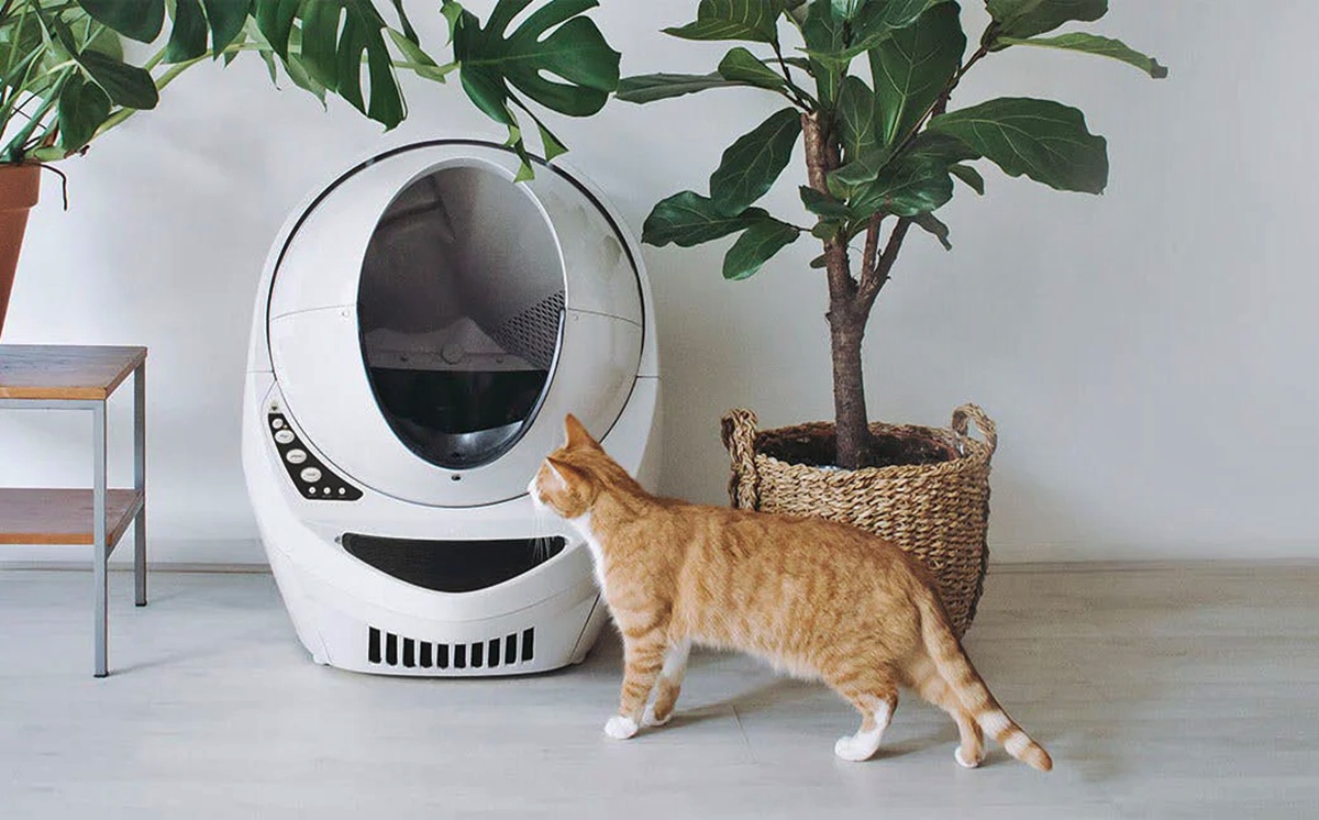 11 Amazing Self Cleaning Litter Box for 2024