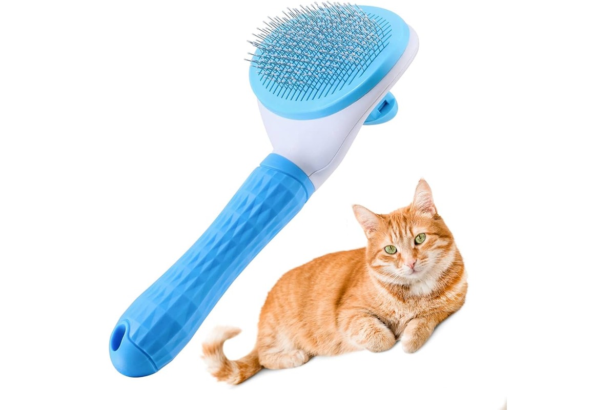 11 Best Cat Brush for 2024