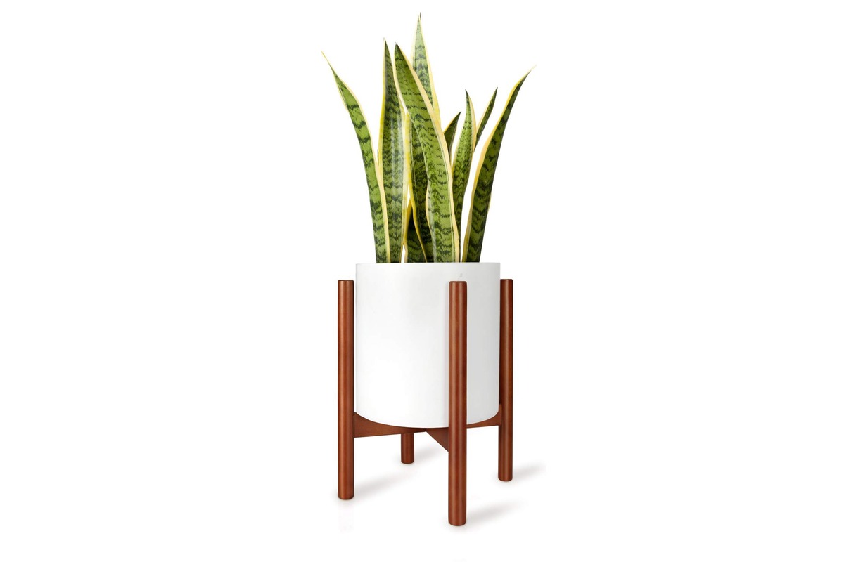 11 Best Mid Century Plant Stand for 2023