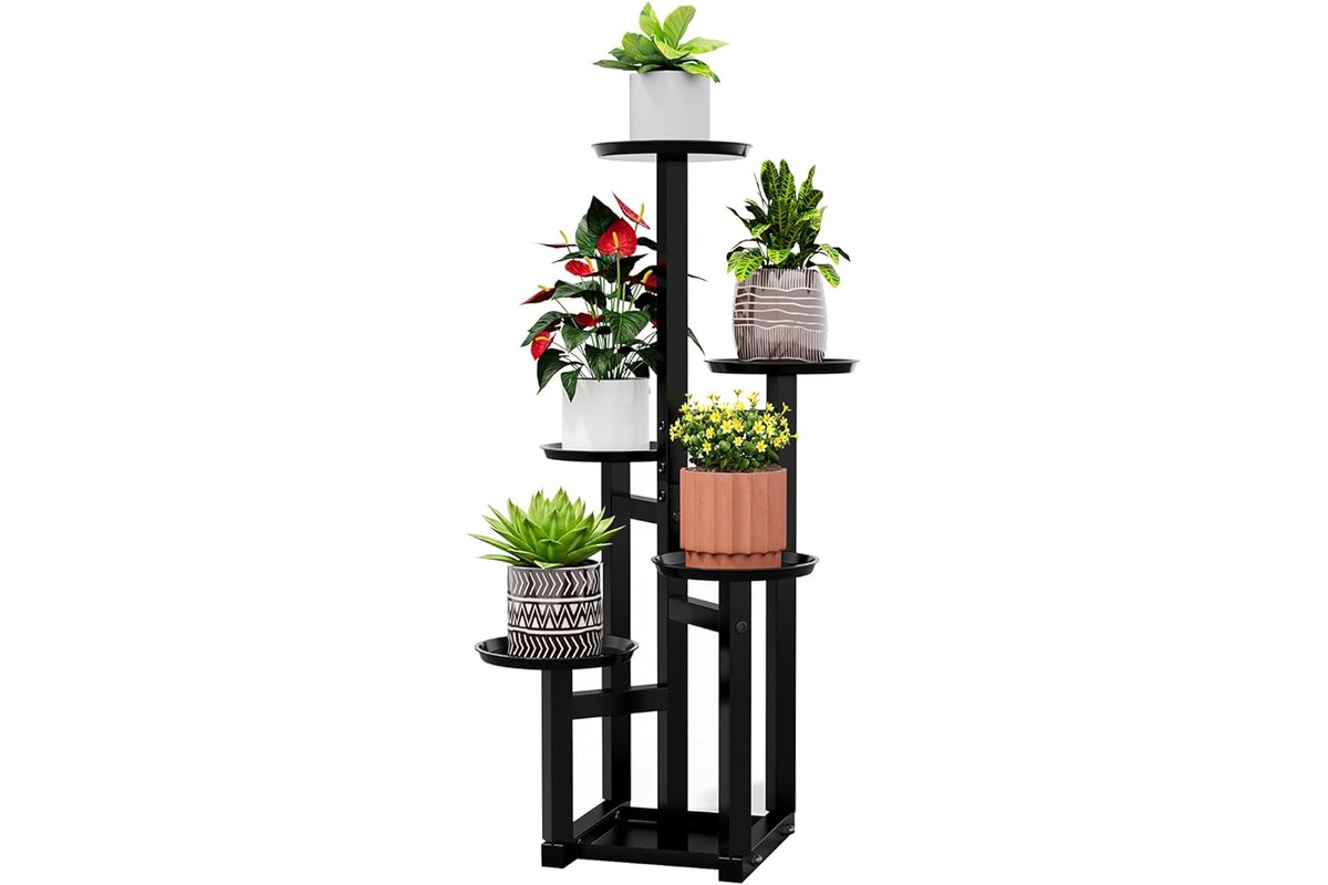 11 Best Tall Plant Stand for 2024