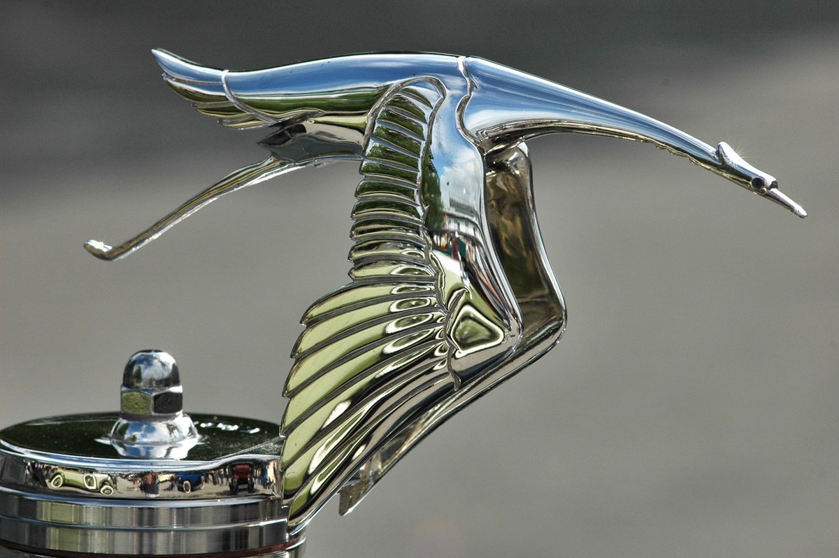 11 Incredible Hood Ornament for 2024