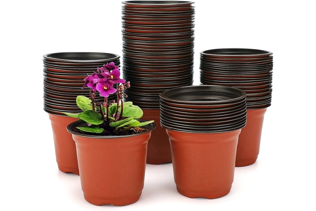11 Incredible Plant Containers for 2024