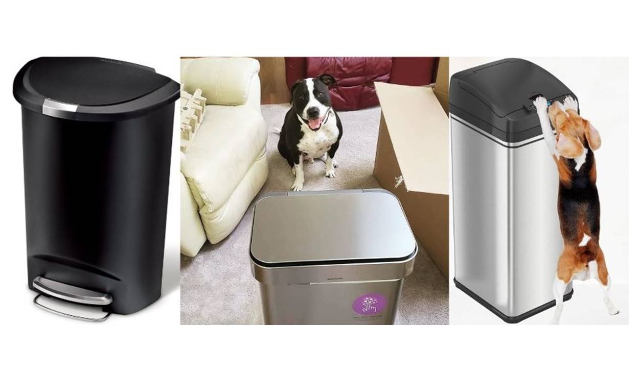 12 Best Dog Proof Trash Can for 2024