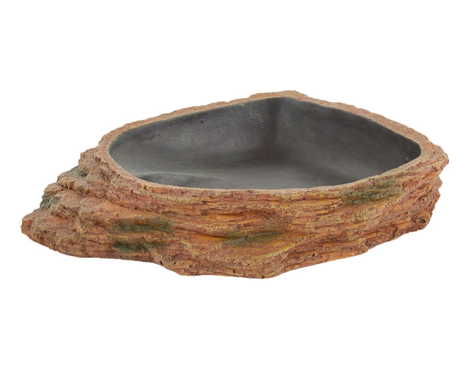 12 Best Reptile Water Bowl for 2024