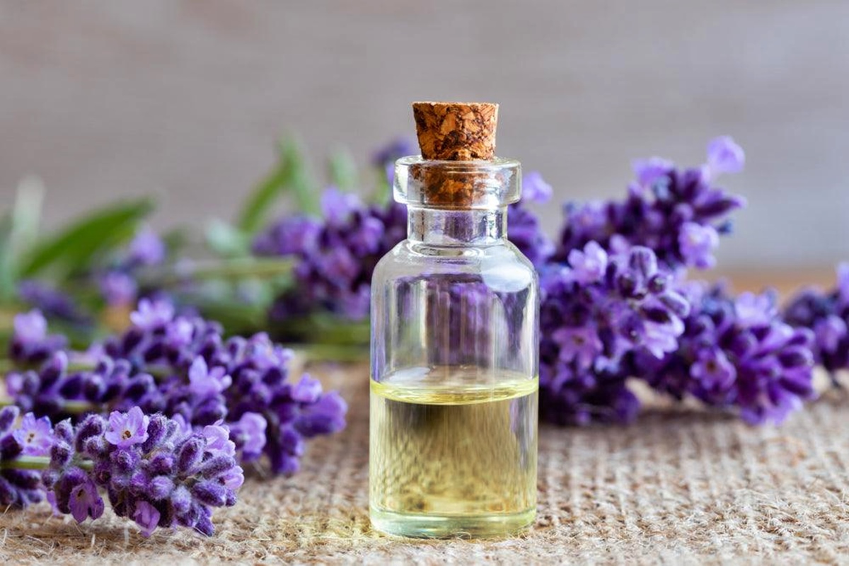 12-incredible-lavender-essential-oils-for-2023