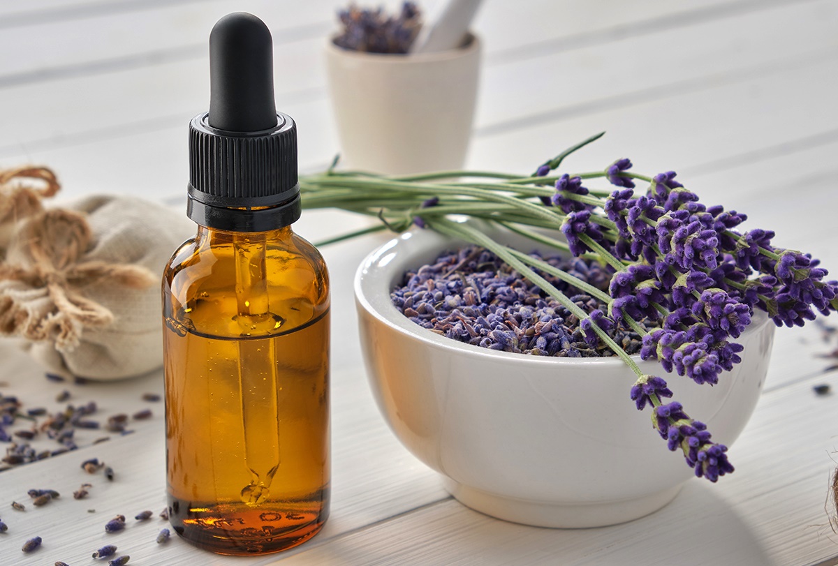 12 Superior Lavender Oil Essential Oil for 2024