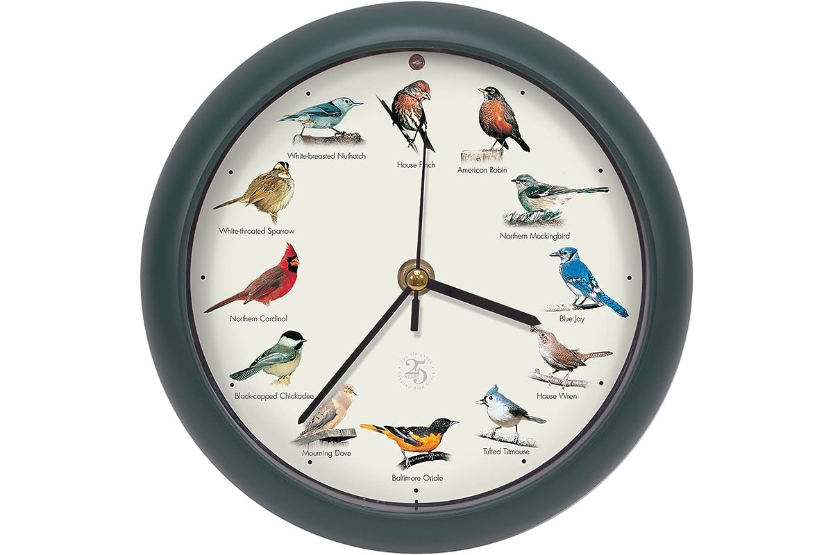 13 Amazing Bird Clock for 2023
