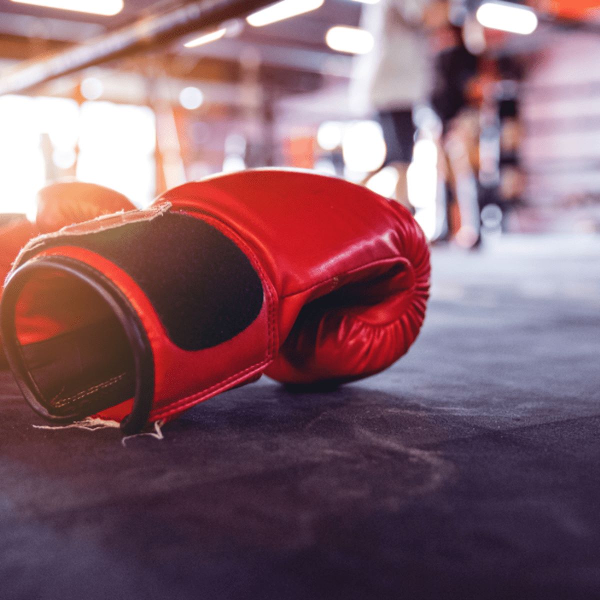 13 Amazing Boxing Glove Deodorizer for 2024