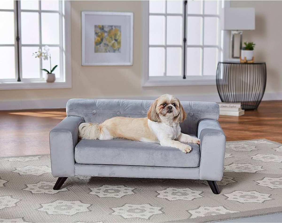 13 Amazing Dog Sofa For 2023 1697518279 