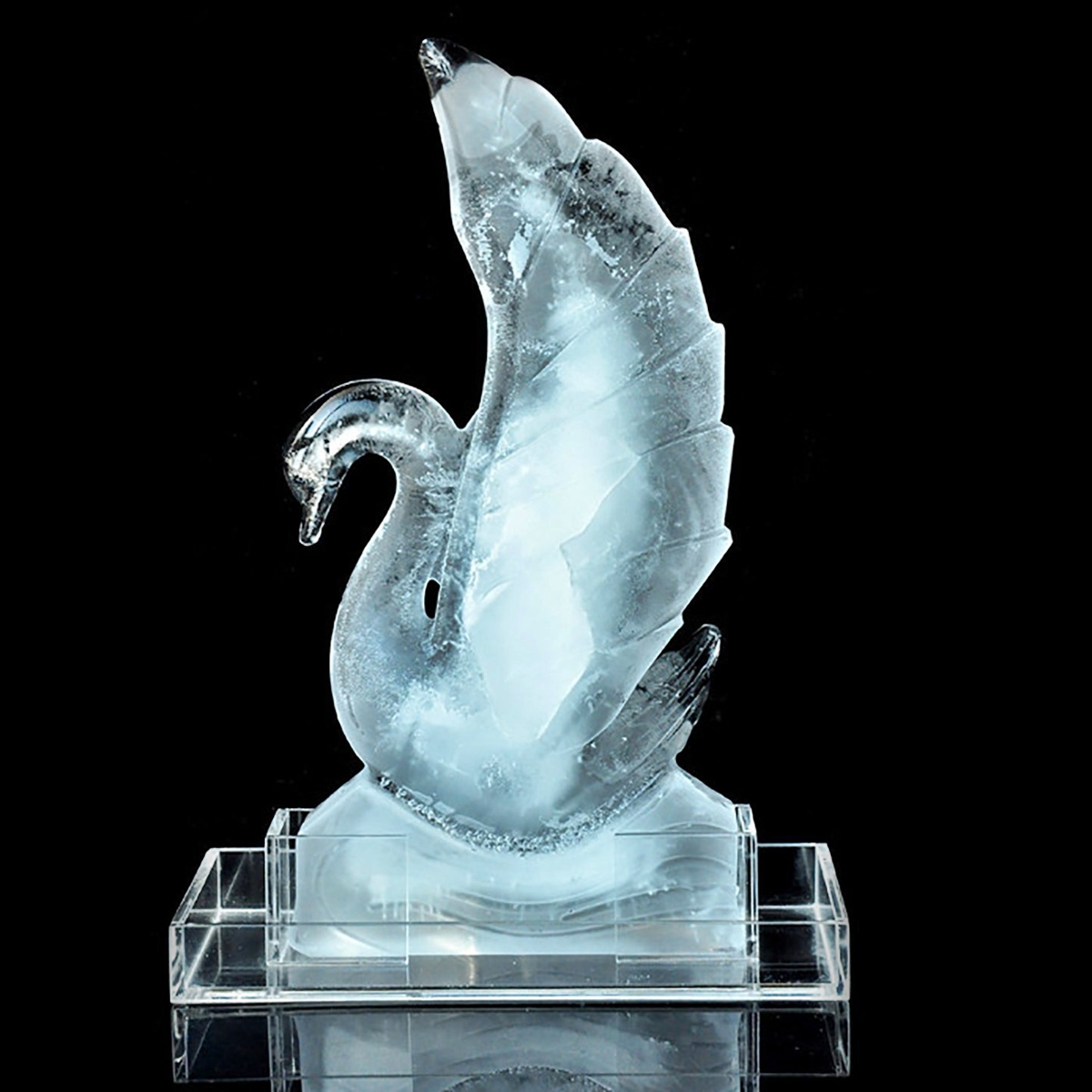 13 Amazing Ice Sculpture Mold for 2024
