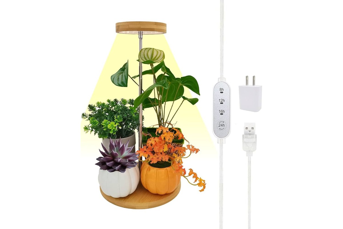 13 Amazing Plant Grow Lights for 2024
