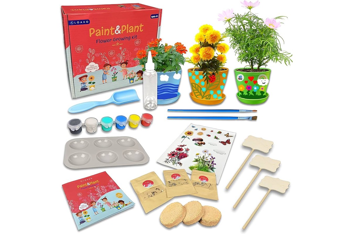 13-incredible-plant-kit-for-2023