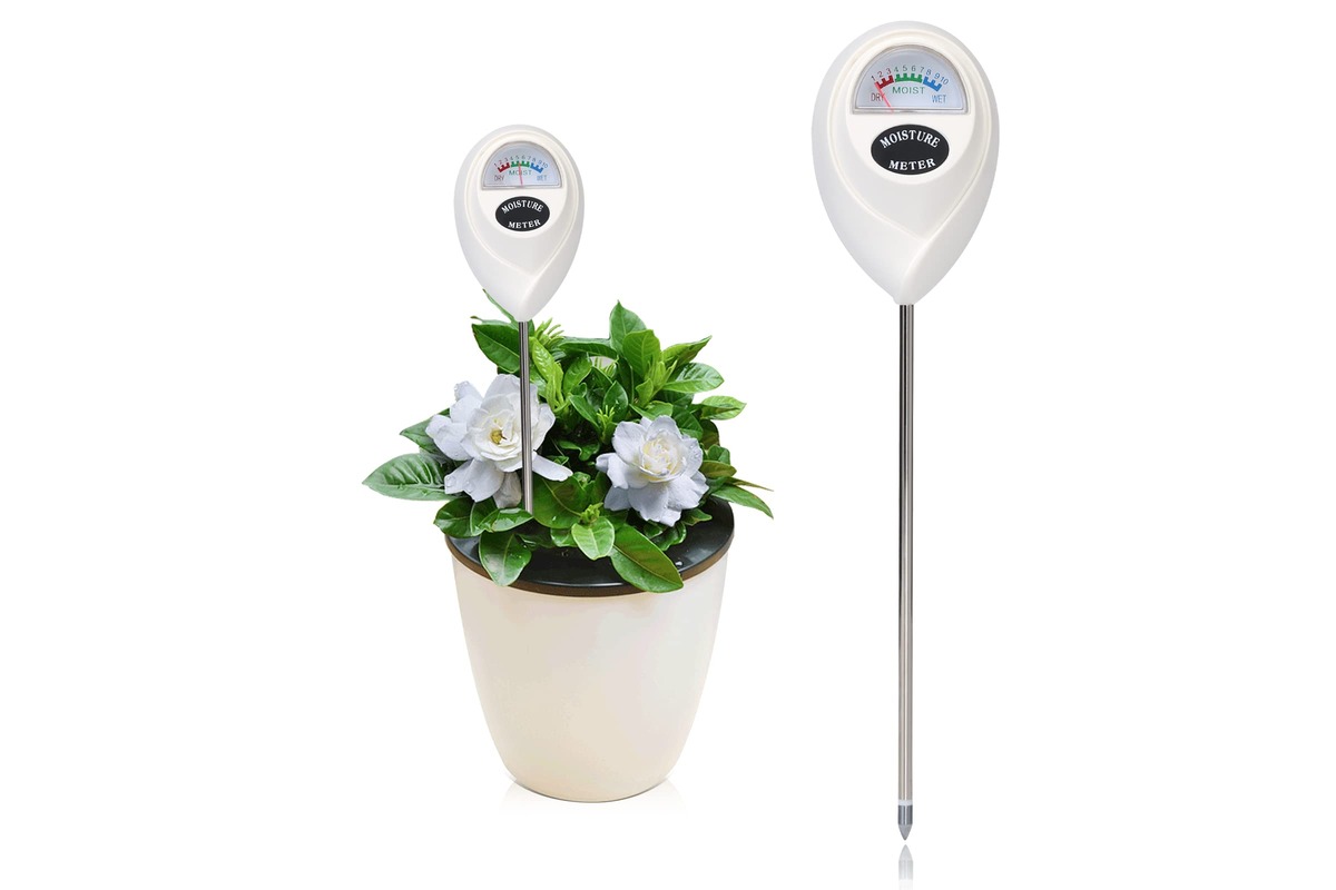 14 Amazing Plant Water Meter for 2023