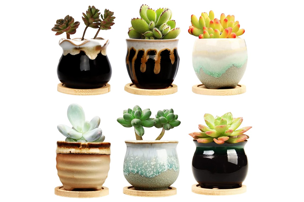 14 Best Small Plant Pot for 2023