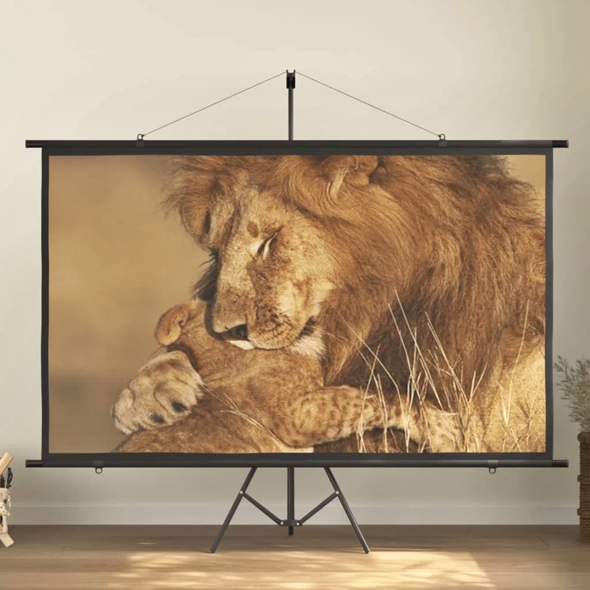 14 Superior Pull Down Projector Screen for 2024