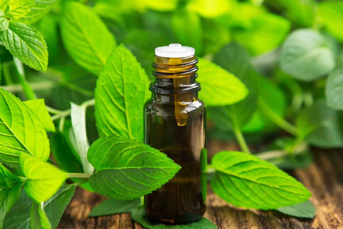 15 Best Spearmint Essential Oil for 2024