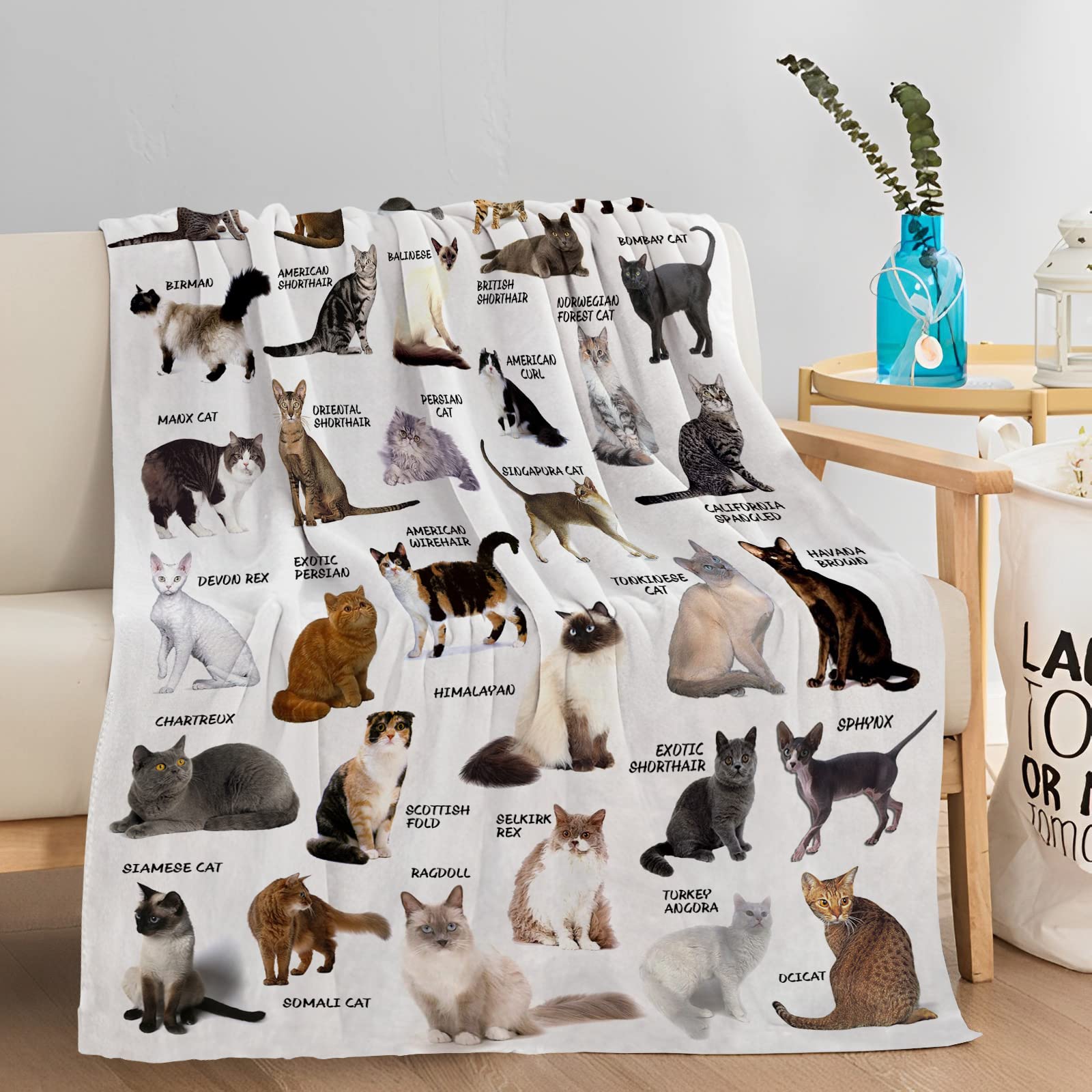 15 Incredible Cat Blanket for 2024