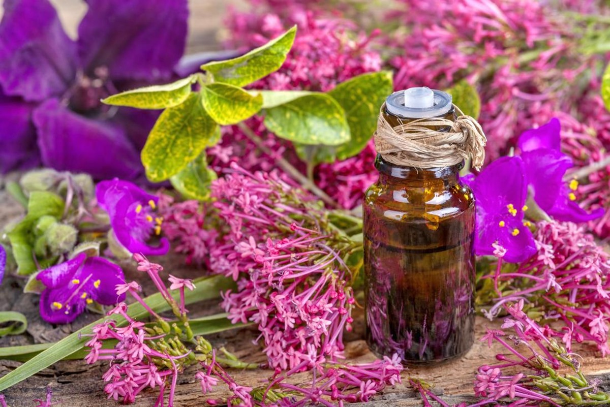 15 Incredible Clary Sage Essential Oil for 2024