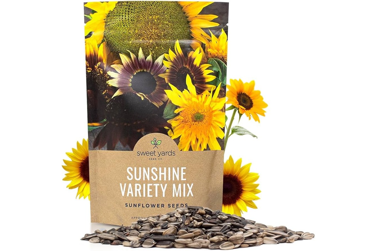 15 Superior Sunflower Seeds To Plant for 2024