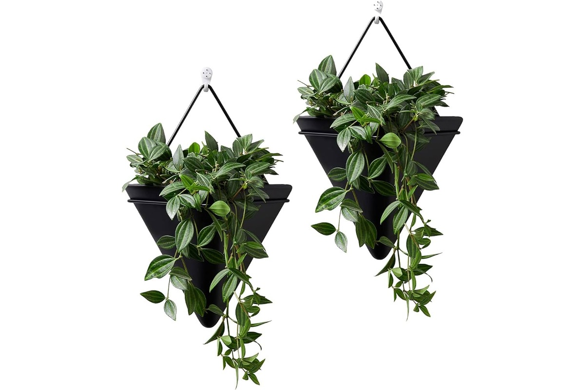 15 Unbelievable Plant Wall Decor for 2023