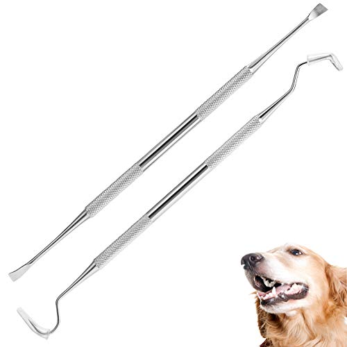 Dog Tooth Scaler and Scraper