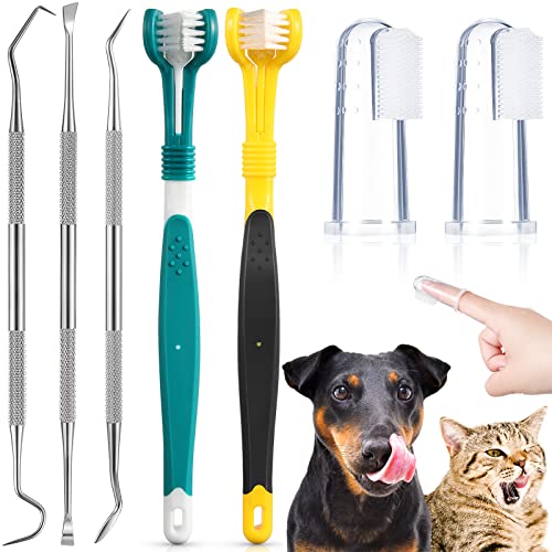 Dog Teeth Cleaning Kit