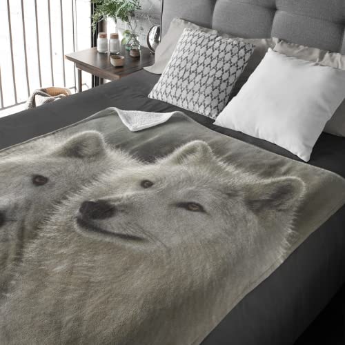 Sunlit Wolves Fleece Blanket