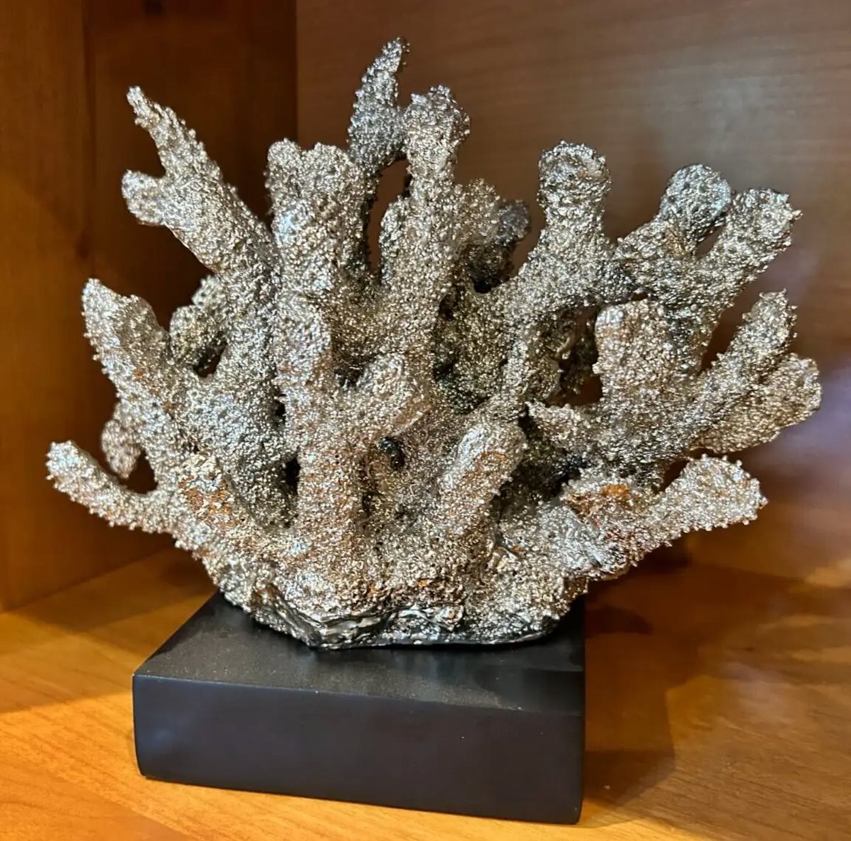 8 Amazing Coral Sculpture Decor for 2024