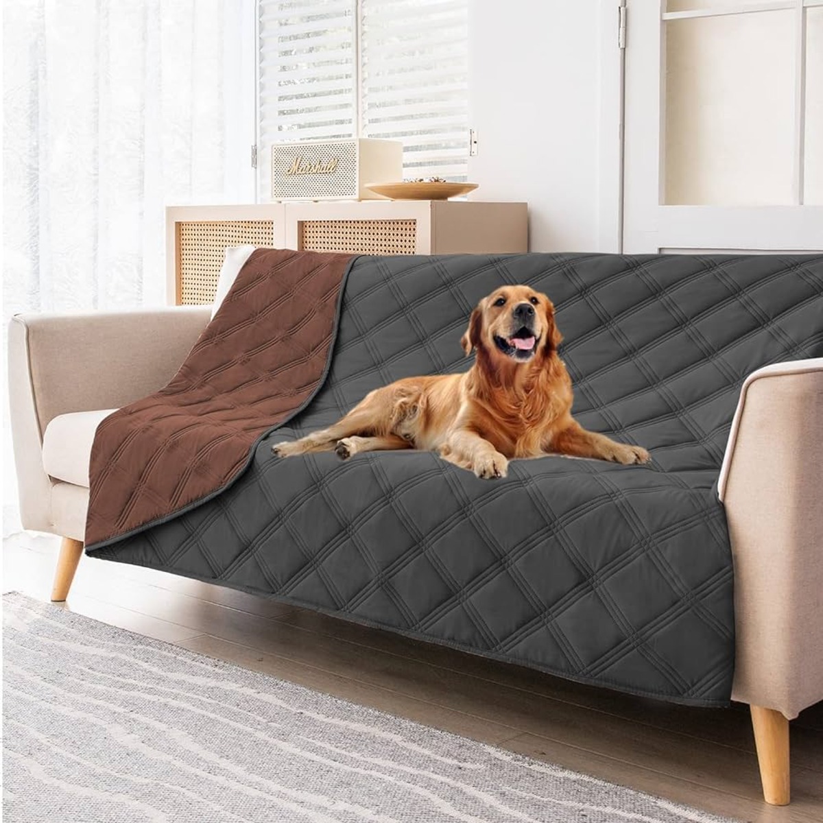 8 Best Sofa Covers For Dogs for 2024