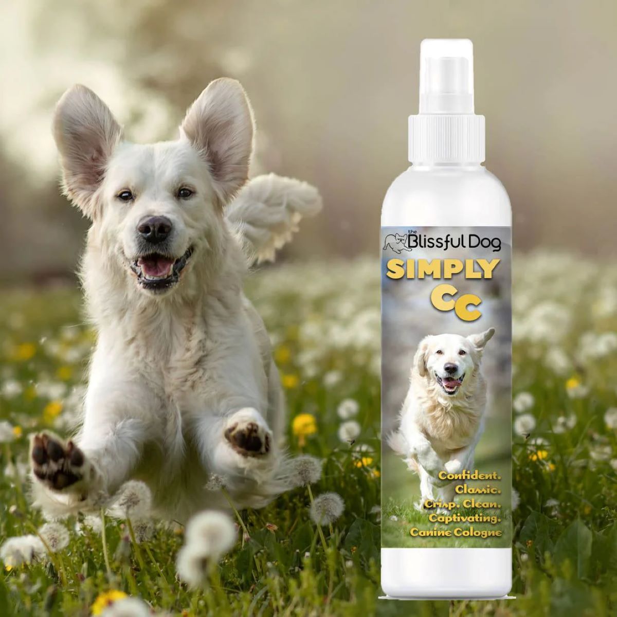 8 Incredible Dog Spray Deodorizer for 2024