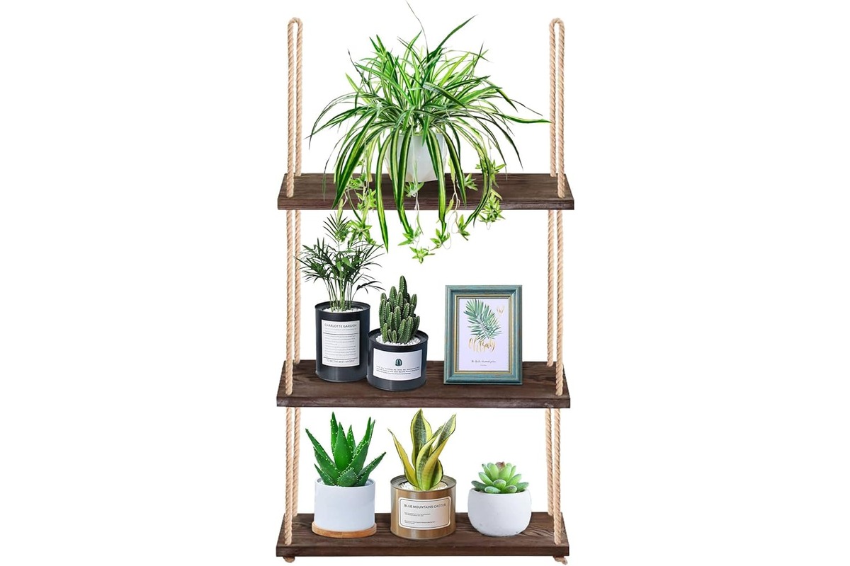 8 Incredible Plant Shelf Indoor for 2024