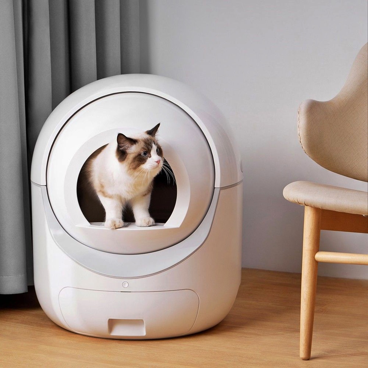 8 Incredible Self Cleaning Litter Box For Multiple Cats for 2024