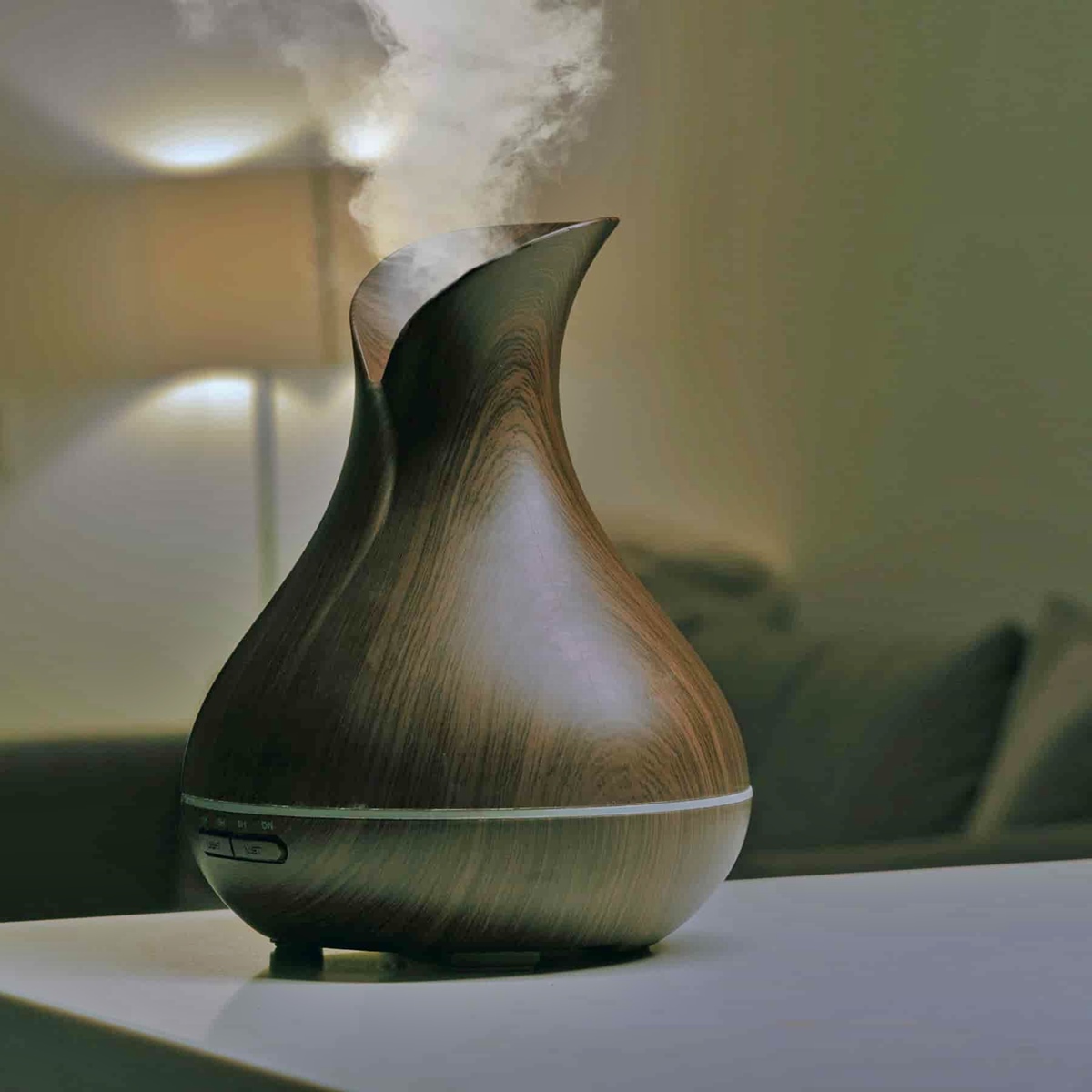 9 Amazing Aromatherapy Essential Oil Diffuser for 2024