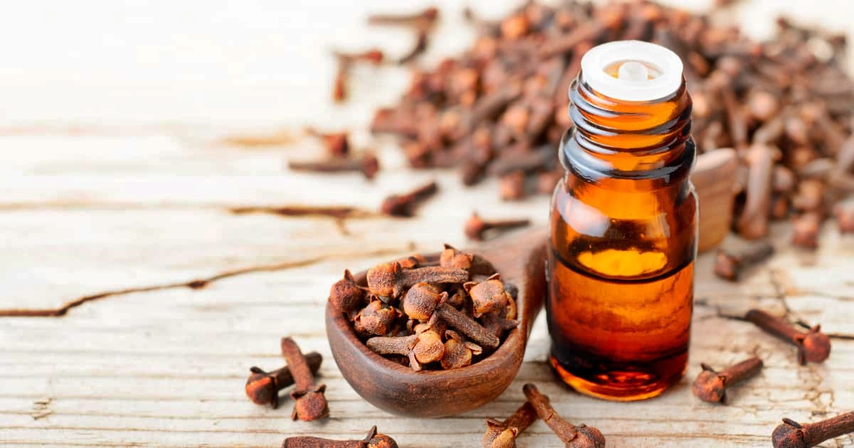 9-best-clove-essential-oil-for-2023