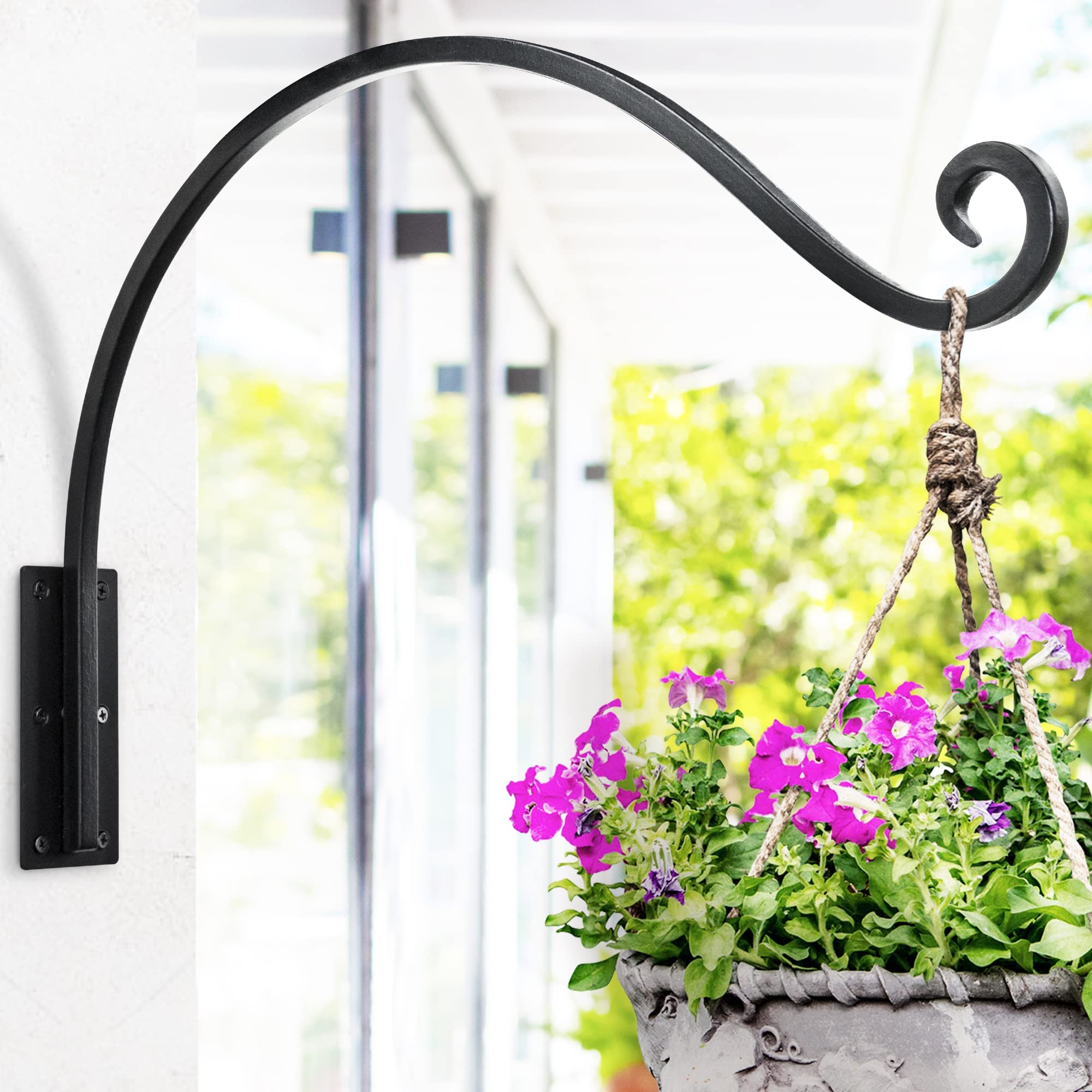 9 Incredible Plant Hooks for 2023