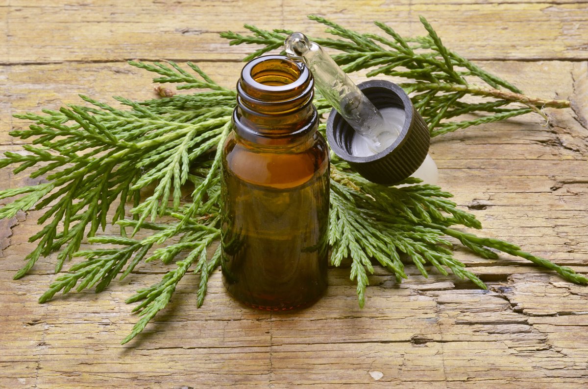 9 Superior Cypress Essential Oil for 2024