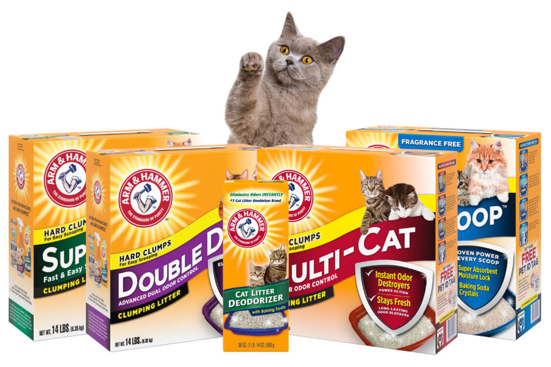 9 Unbelievable Arm And Hammer Cat Litter Deodorizer Powder for 2024