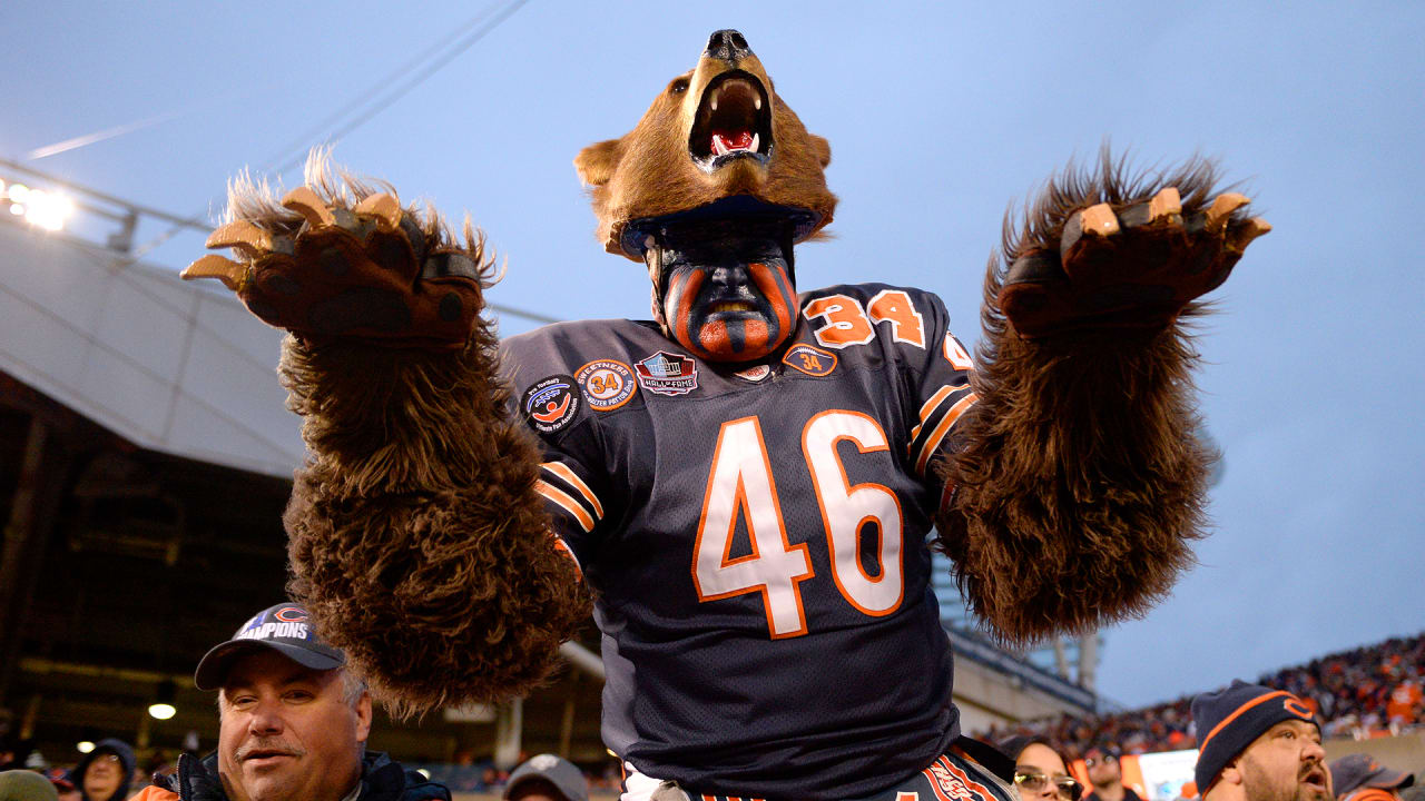 A Bears Fan Takes A Devastating Blow During Violent Stadium Fight