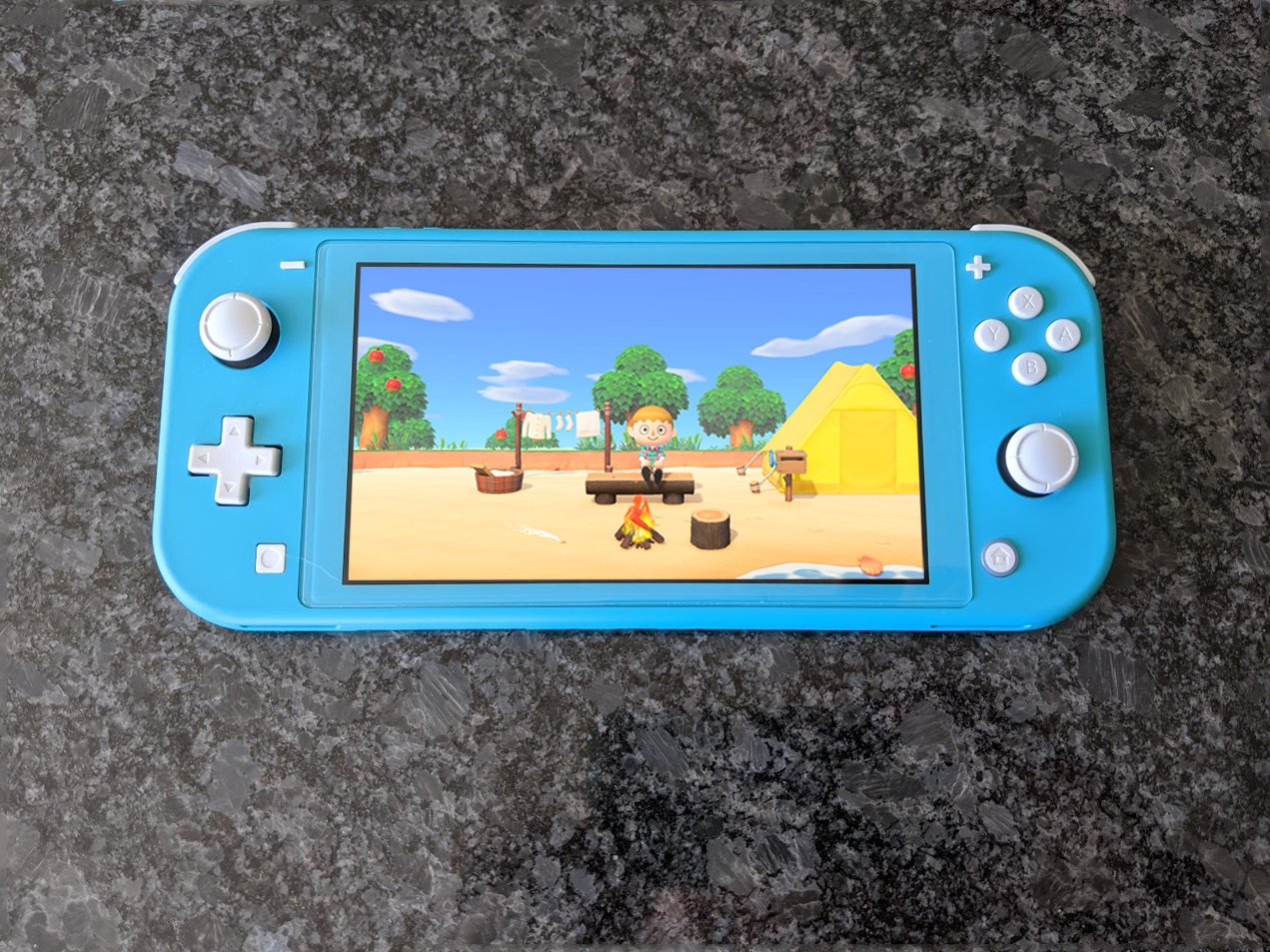 Can You Play Animal Crossing On A Nintendo Switch Lite?