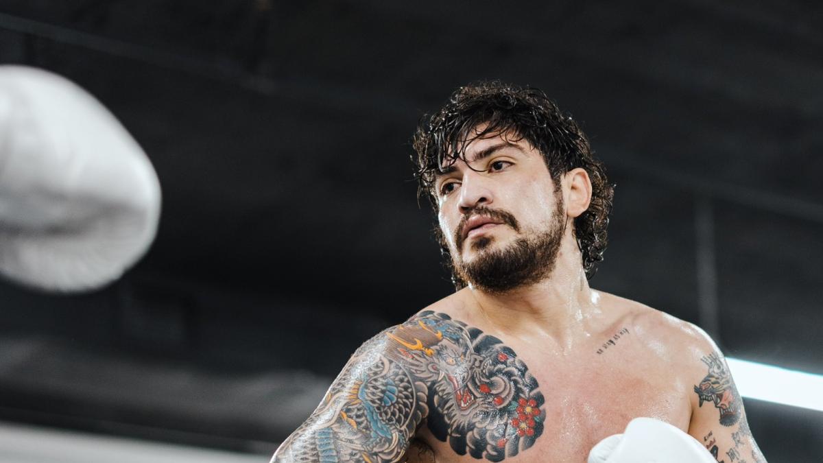 Dillon Danis Throws Microphone At Logan Paul’s Face During Press Conference Fight