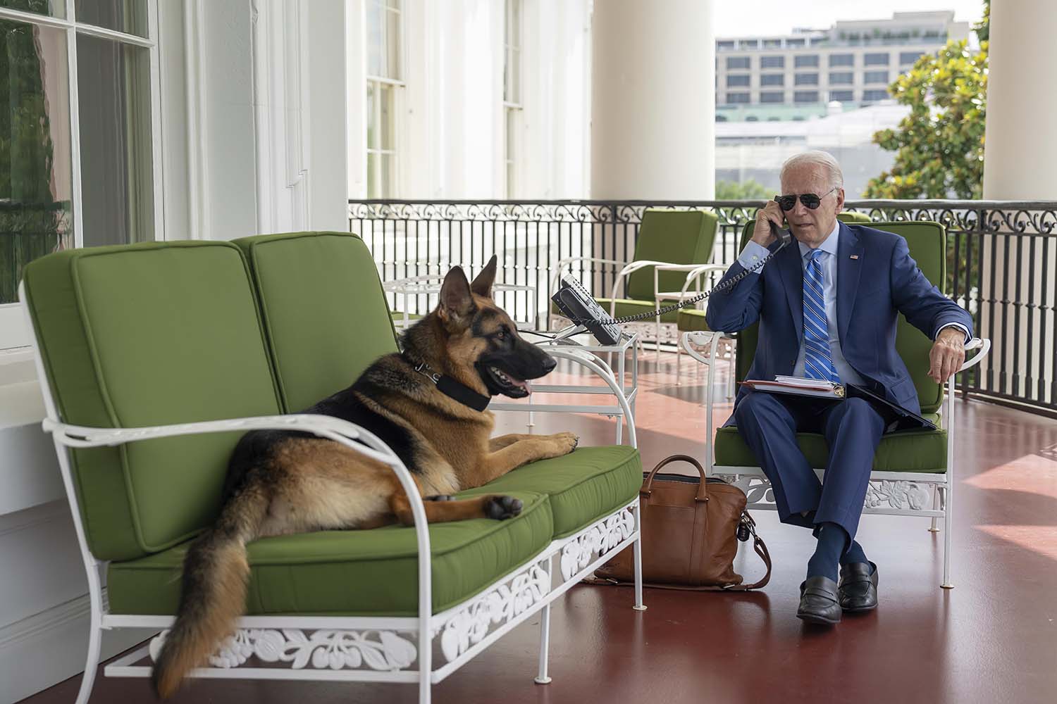 Former WH Trainer Says Biden’s Dog Commander Isn’t Receiving Proper Training