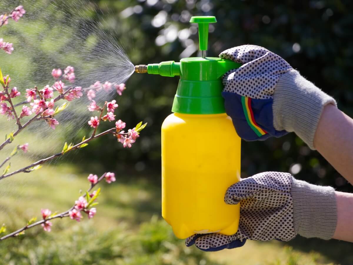 how-long-after-spraying-roundup-can-you-plant