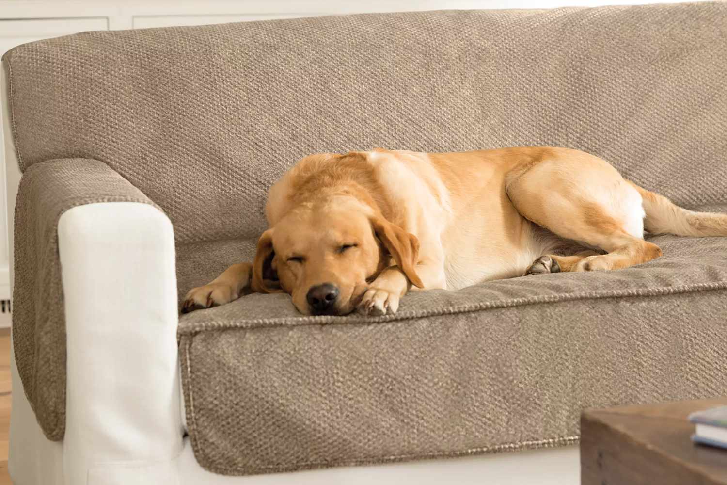 How Often Should I Change My Pet Furniture Cover
