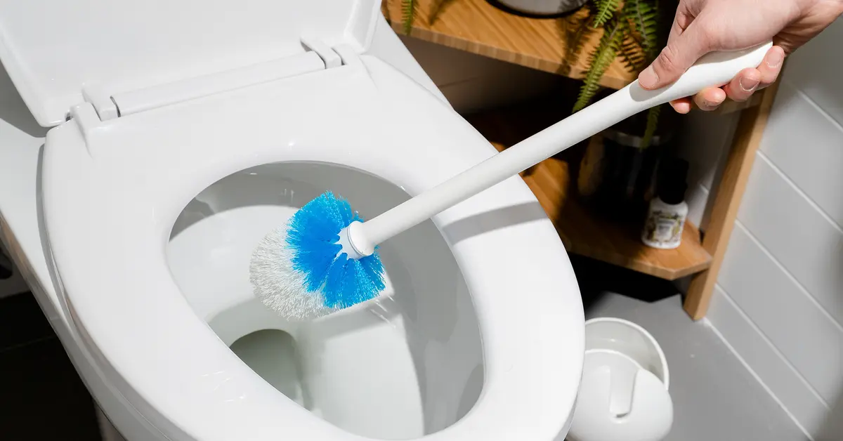 How Often Should You Replace Your Toilet Brush
