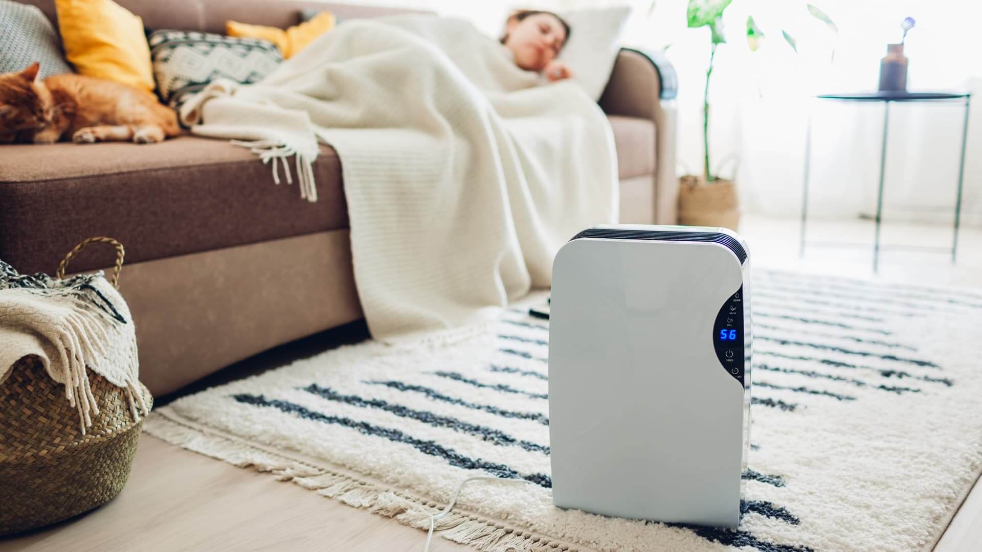 How Often Should You Run A Dehumidifier