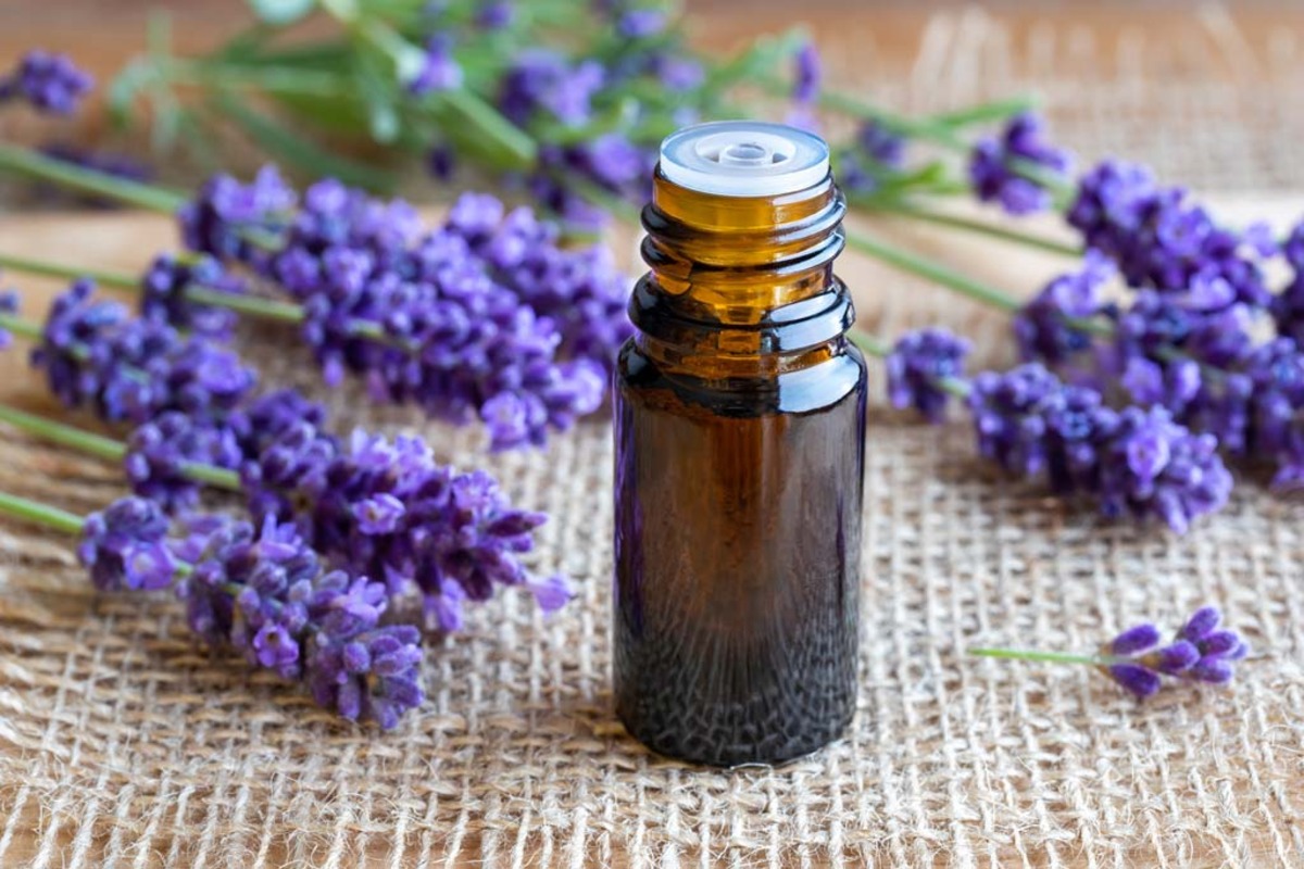 How To Apply Lavender Essential Oil
