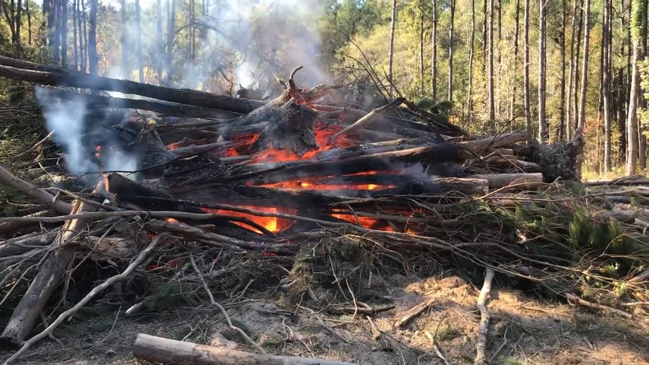 How To Burn A Brush Pile Safely