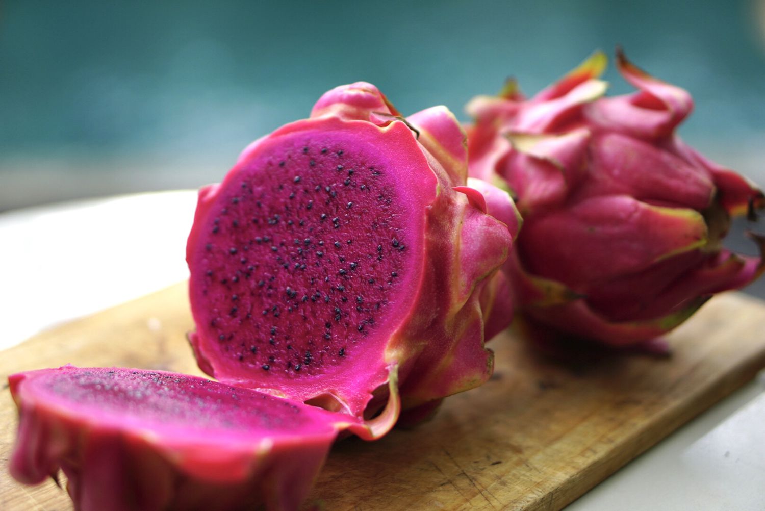 how-to-care-for-dragon-fruit-plant